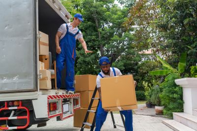 Specialized Moving Equipment
